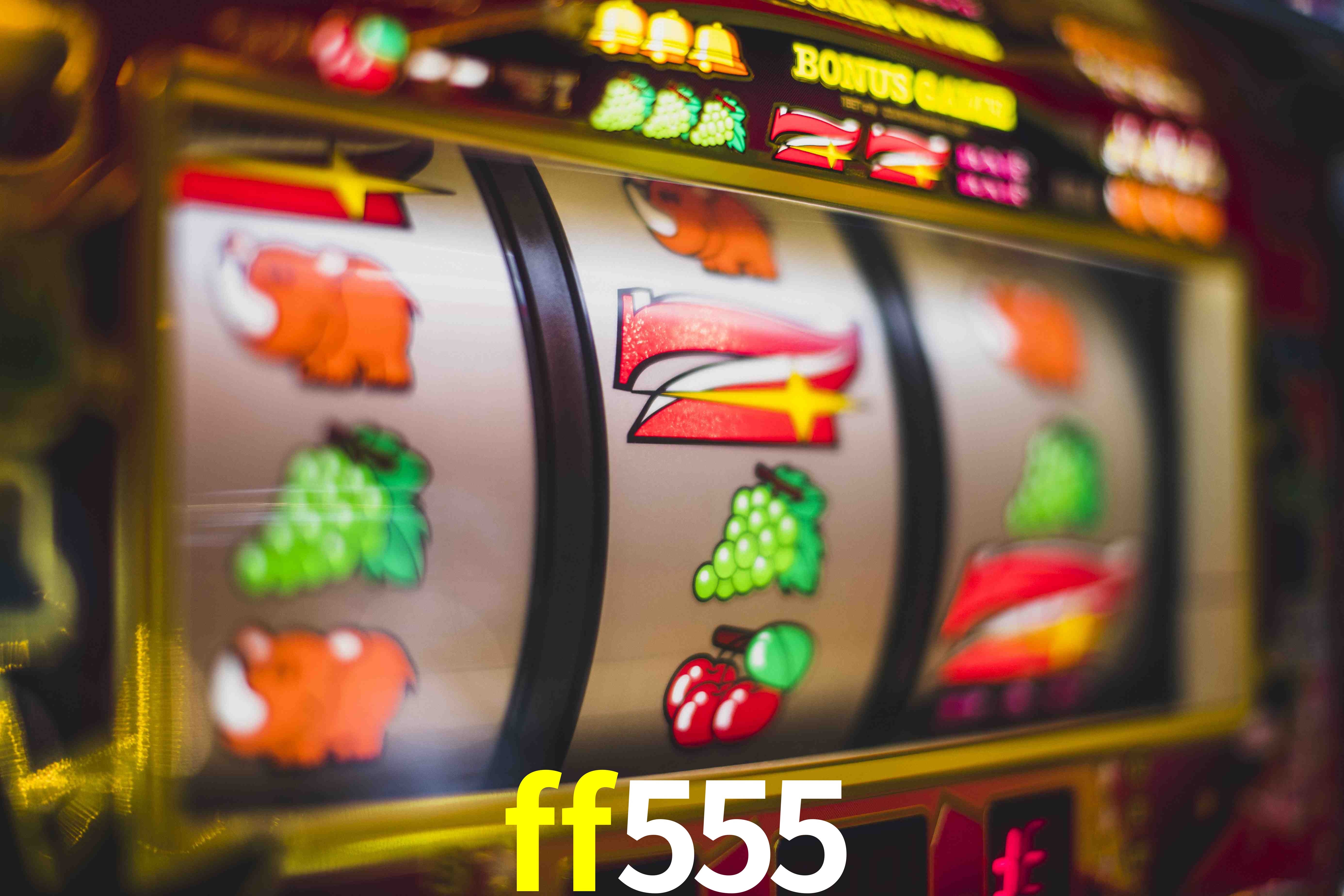 VIP Casino ff555